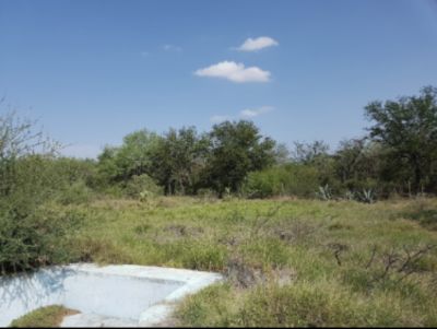 Terreno para desarrollar en venta en Foráneos