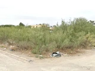 Terreno para desarrollar en venta en Foráneos