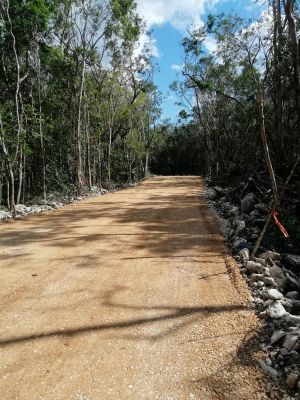 Terreno residencial en venta en Foráneos