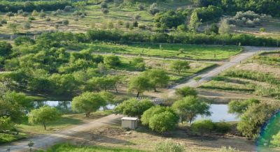 Terreno residencial en venta en Montemorelos