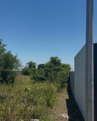 Terreno usos mixtos en venta en Montemorelos